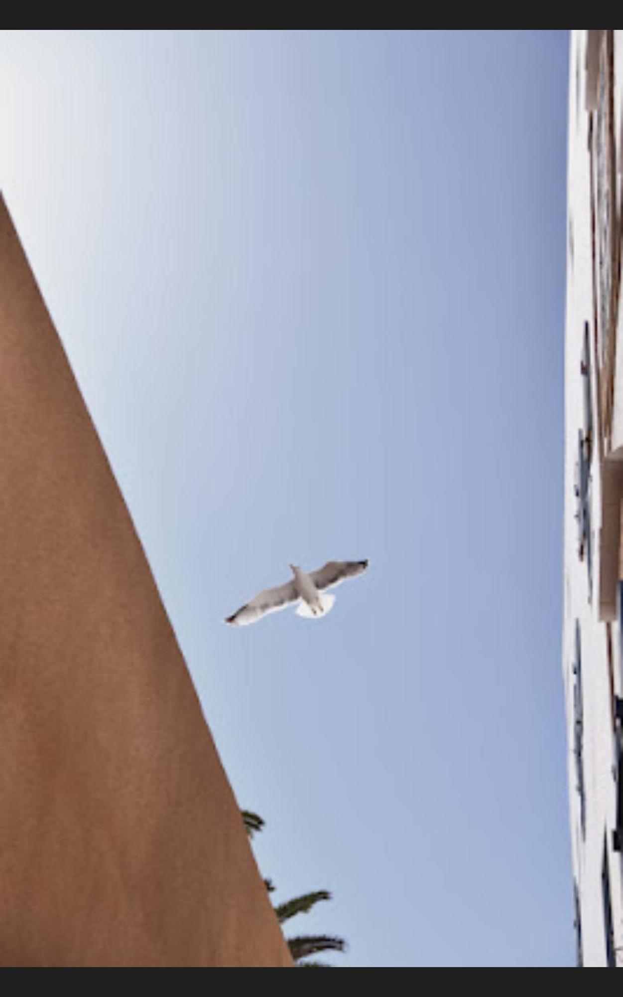 Loft Incroyable En Medina Daire Suvayr Dış mekan fotoğraf